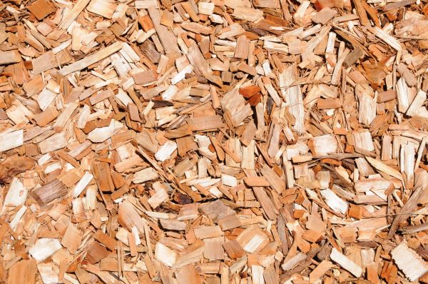 Cypress Mulch Spreading in Saint Petersburg