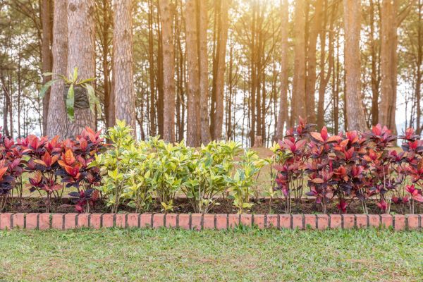 Small Garden Landscaping in Saint Petersburg