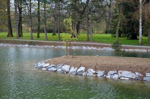 Pond Landscaping Service in Saint Petersburg