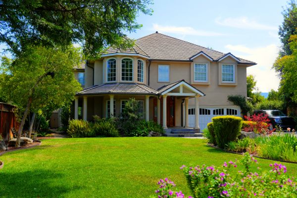 Large Yard Landscaping in Saint Petersburg