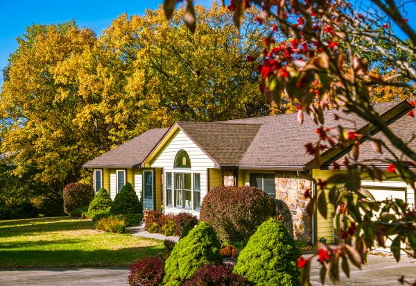 Ranch Landscaping in Saint Petersburg