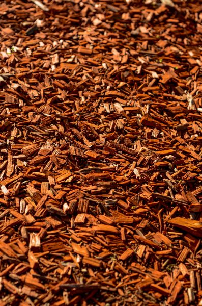 Cedar Mulch Spreading in Saint Petersburg