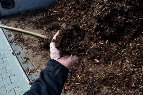 Condo Mulching in Saint Petersburg