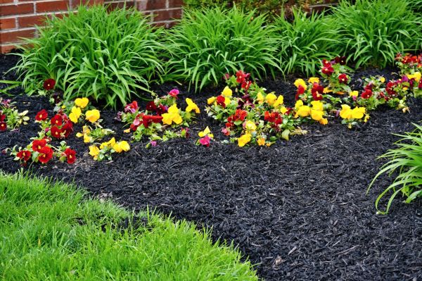 Apartment Mulching in Saint Petersburg