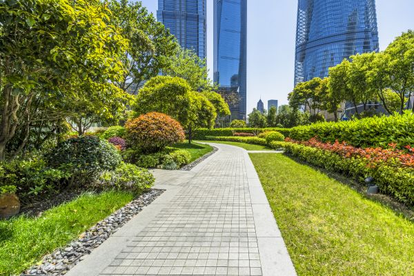 Commercial Landscaping in Saint Petersburg