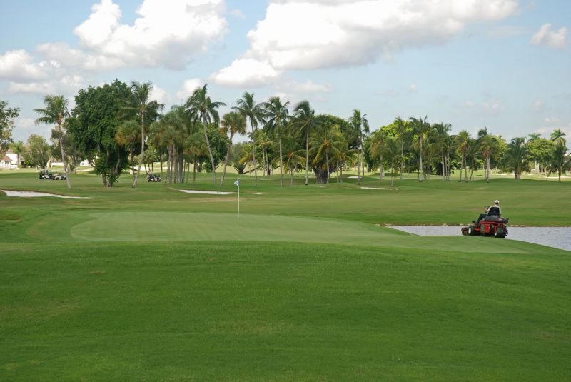 Monthly Garden Maintenance